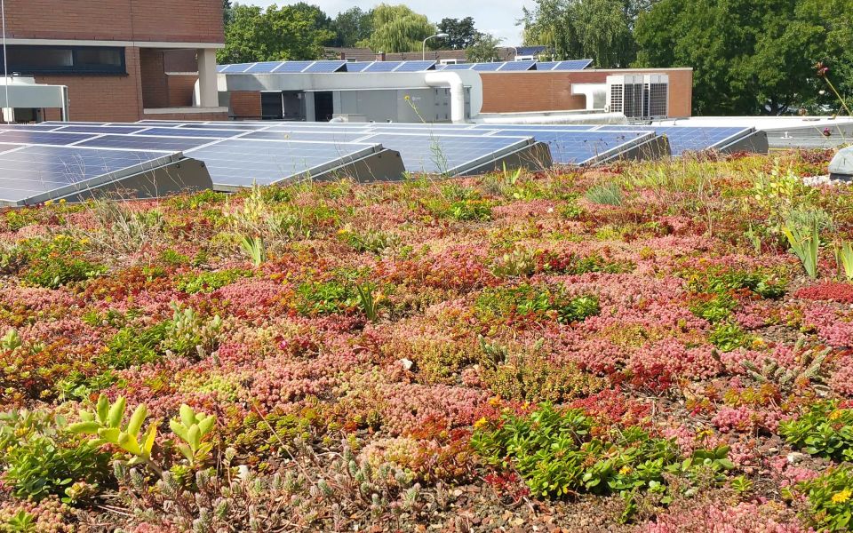 Regionale energiestrategie (RES)