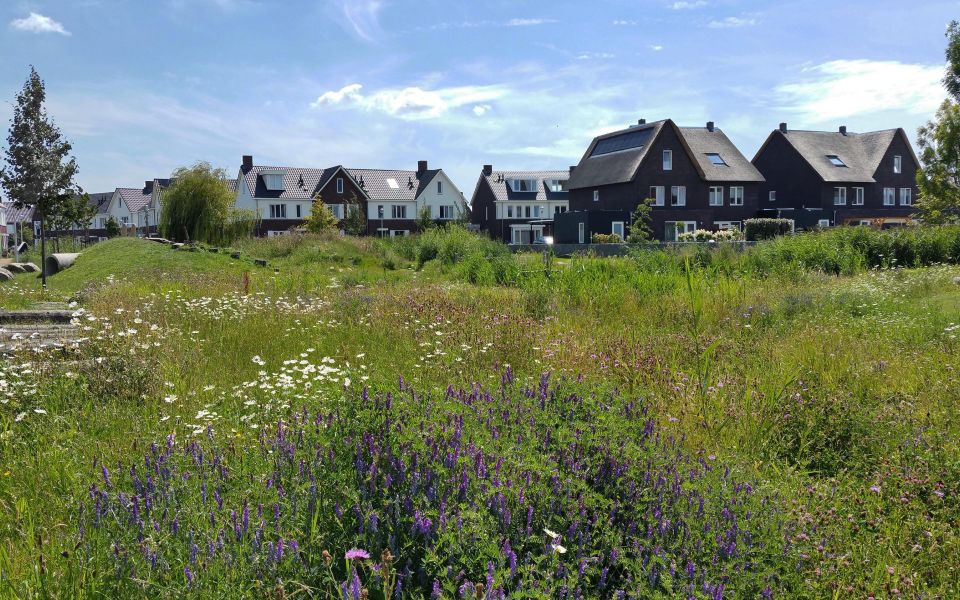 Toekomstbestendig ontwerp