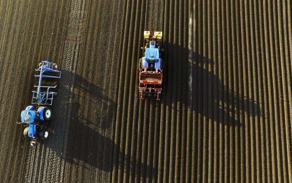 Specialistisch onderzoek en coördinatie